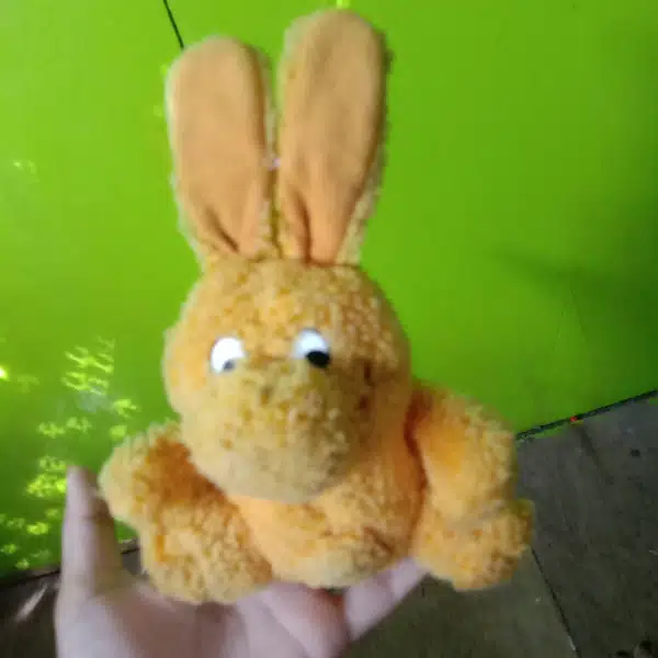 Teddy bear