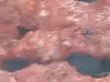 Pork barbeque