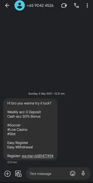 +6590424526